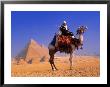 Man, Camel And Pyramid, Egypt by Frank Chmura Limited Edition Print