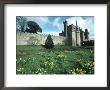 Cardiff Castle, Wales by Ron Johnson Limited Edition Pricing Art Print