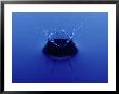 Water Drop Splash In Blue Water, Strobe Photo by Len Delessio Limited Edition Print