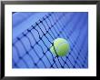 Tennis Ball In Net by Henryk T. Kaiser Limited Edition Print