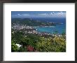 Charlotte Amalie, St. Thomas, Usvi by Michele Burgess Limited Edition Print