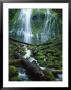 Proxy Falls, Or, Three Sisters Area Of Cascades by Jules Cowan Limited Edition Print