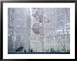 Planetarium, Museum Of Natural History, Nyc, Ny by Barry Winiker Limited Edition Print