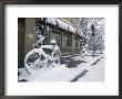 Two Snow-Covered Bicycles Rest Against Trees Outside A Building by Michael S. Lewis Limited Edition Print