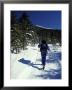 Backcountry Skiing On Saddleback Mountain, Northern Forest, Maine, Usa by Jerry & Marcy Monkman Limited Edition Print