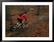 A Cyclist Mountain Bikes On The Trails Of Sewanee, Tennessee by Stephen Alvarez Limited Edition Print
