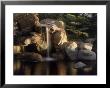 Sun Shining On Rocks And Small Waterfall by Jack Boyd Limited Edition Print