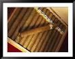 Cuban Cigars, Havana, Cuba by Angelo Cavalli Limited Edition Pricing Art Print