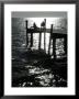 Early Morning Fishing, Cedar Key Pier, Fl by Pat Canova Limited Edition Print