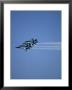 Usn Blue Angels Flying In Formation by John Luke Limited Edition Print