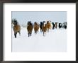 Horse Roundup, Sombrero Ranch Horse Drive, Co by Joseph B. Rife Limited Edition Print