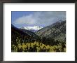 San Isabel National Forest, Colorado by Allen Russell Limited Edition Pricing Art Print