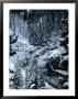 Cascades Of The Firehole, Yellowstone National Park, Wy by Michele Burgess Limited Edition Print