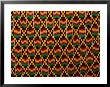 Detail Of Hand-Woven Asante Ceremonial Cloth, Hohoe, Volta, Ghana by Ariadne Van Zandbergen Limited Edition Print
