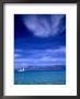 Looking Out To Sea From Lodo Beach, Corsica, France by Olivier Cirendini Limited Edition Print