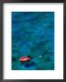 Spearfisher And His Boat, New Caledonia by Jean-Bernard Carillet Limited Edition Print
