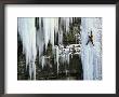 A Woman Ice Climbing In British Columbia by Jimmy Chin Limited Edition Print