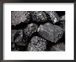 A Close View Of Coal Ready For Burning by Taylor S. Kennedy Limited Edition Print