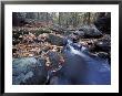 Great Brook Trail In Late Fall, New Hampshire, Usa by Jerry & Marcy Monkman Limited Edition Print