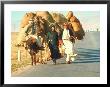 Local Lebanese Arabs Traveling On Road With Caravan Of Camels And Donkey Loaded With Goods by Carlo Bavagnoli Limited Edition Print