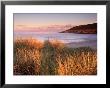 Croyde, North Devon Coast, England by Peter Adams Limited Edition Pricing Art Print