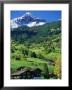 Grindewald, Switzerland by Peter Adams Limited Edition Print