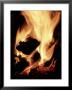 Close-Up Of Campfire At Night by John Coletti Limited Edition Print