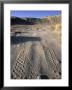 Atv Damage Along Palm Wash In The Desert Cahuilla Archaeology Area, California by Rich Reid Limited Edition Print