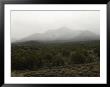 Scenes Along The Highway From Santa Fe To Taos, New Mexico by Joel Sartore Limited Edition Print