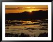 Twilight Over Marshes, Genghis Khan Coverage by James L. Stanfield Limited Edition Print