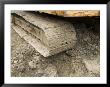 Track On A Construction Vehicle by Joel Sartore Limited Edition Print