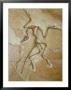 The Earliest Bird, Archaeopteryx, Fossil Skeleton With Feathers by Jason Edwards Limited Edition Pricing Art Print