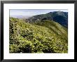 Scenic Elevated View Of The White Mountains by Tim Laman Limited Edition Print