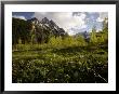 Sunset On A Spring Day With The Maroon Bells And Pyramid Peak, Colorado by Michael S. Lewis Limited Edition Print