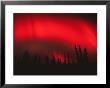Red Aurora Borealis, Alaska by Michael S. Quinton Limited Edition Print