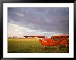 The Cessna Makes A Pit Stop To Refuel On The Serengeti, Tanzania by Michael Fay Limited Edition Print