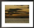 Silhouetted Russian Submarine In The White Sea by James P. Blair Limited Edition Print