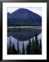 Beautiful Mountain Reflection In Alaska by Stacy Gold Limited Edition Print