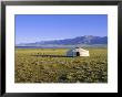 Nomad Camp, Uureg Nuur Lake, Uvs, Mongolia by Bruno Morandi Limited Edition Print