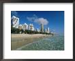 Surfers Paradise Beach, Gold Coast, Queensland, Australia by Robert Francis Limited Edition Print