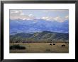 Looking West Towards The Rocky Mountains From Big Timber, Sweet Grass County, Montana, Usa by Robert Francis Limited Edition Print
