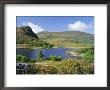 Ring Of Kerry, Between Upper Lake And Muckross Lake, Killarney, Munster, Republic Of Ireland (Eire) by Roy Rainford Limited Edition Print