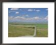 Road Across Prairie Wheatlands, South Of Calgary, Alberta, Canada by Anthony Waltham Limited Edition Print