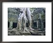 Ta Prohn, Angkor, Siem Reap, Cambodia, Indochina, Asia by Gina Corrigan Limited Edition Pricing Art Print