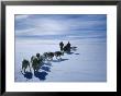 Huskies And Dog Sledge, Antarctica by Wally Herbert Limited Edition Pricing Art Print