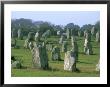 Alignments Of Megalithic Standing Stones, Carnac, Morbihan, Brittany, France, Europe by J P De Manne Limited Edition Print