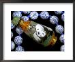 Hand Painted Panda Snuff Bottle, Chinese Bead Necklace, China by Cindy Miller Hopkins Limited Edition Print