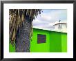 A Green Village Church Next To A Palm Tree by Raul Touzon Limited Edition Print