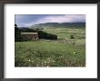 Garsdale, Yorkshire, England, United Kingdom by Michael Short Limited Edition Print