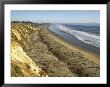 The Bluffs Of Ellwood Beach At Coal Oil Point by Rich Reid Limited Edition Pricing Art Print